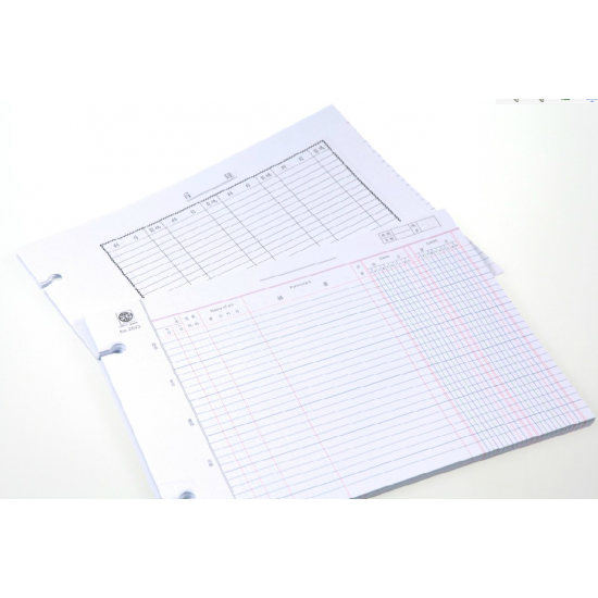 2004 standard looseleaf ledger accounting ledger paper